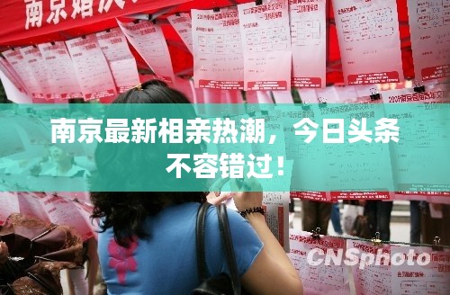 南京最新相亲热潮,今日头条不容错过!