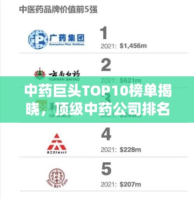 中药巨头TOP10榜单揭晓,顶级中药公司排名前十名