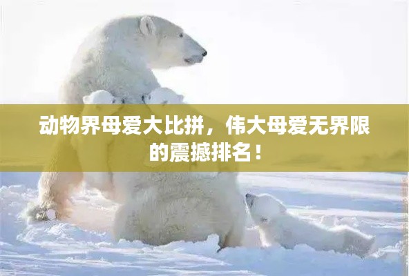动物界母爱大比拼,伟大母爱无界限的震撼排名!