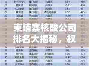 柬埔寨核酸公司排名大揭秘，权威榜单，不容错过！