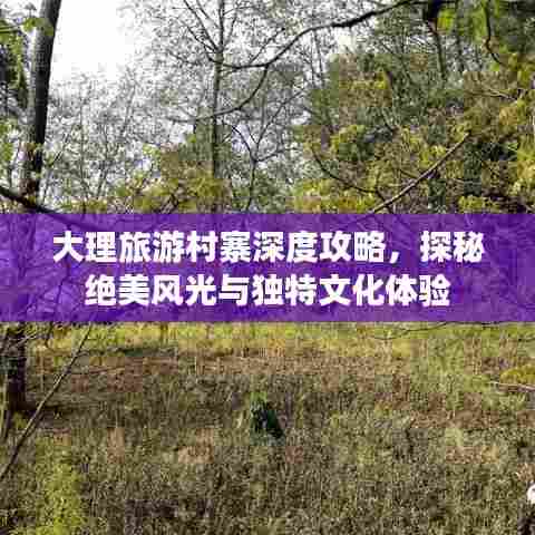 大理旅游村寨深度攻略,探秘绝美风光与独特文化体验