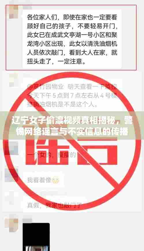 辽宁女子偷渡视频真相揭秘,警惕网络谣言与不实信息的传播!