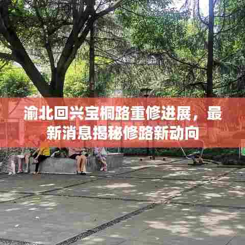 渝北回兴宝桐路重修进展，最新消息揭秘修路新动向