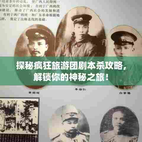 探秘疯狂旅游团剧本杀攻略，解锁你的神秘之旅！