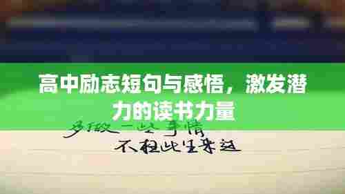 高中励志短句与感悟,激发潜力的读书力量