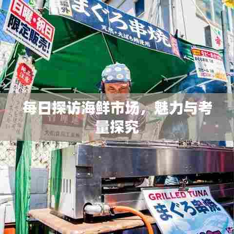 每日探访海鲜市场,魅力与考量探究