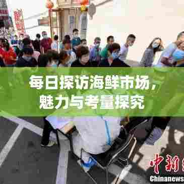 每日探访海鲜市场,魅力与考量探究