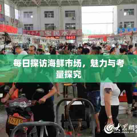 每日探访海鲜市场,魅力与考量探究