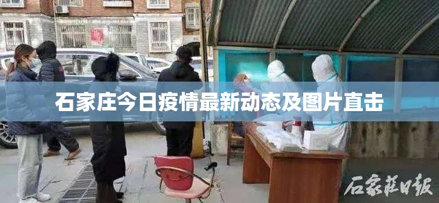 石家庄今日疫情最新动态及图片直击