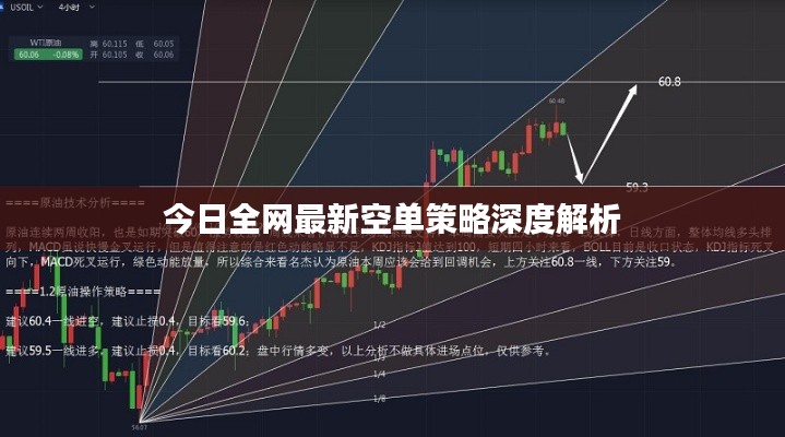 今日全网最新空单策略深度解析