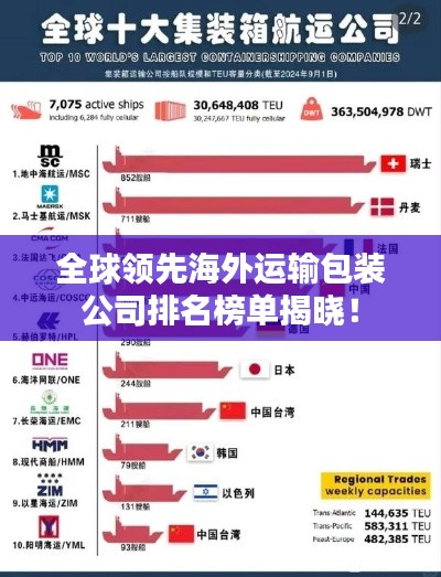 全球领先海外运输包装公司排名榜单揭晓！