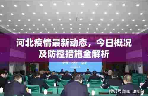河北疫情最新动态，今日概况及防控措施全解析