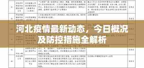 河北疫情最新动态,今日概况及防控措施全解析