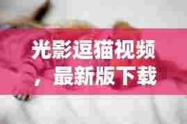 光影逗猫视频,最新版下载,畅享精彩宠物时光