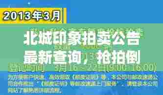 北城印象拍卖公告最新查询,抢拍倒计时启动!