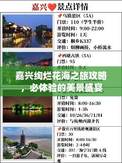 嘉兴绚烂花海之旅攻略,必体验的美景盛宴