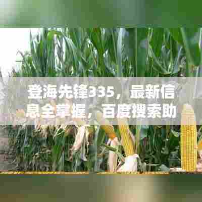 登海先锋335,最新信息全掌握,百度搜索助你轻松了解
