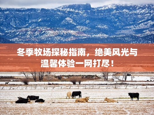 昙花一现 第2页