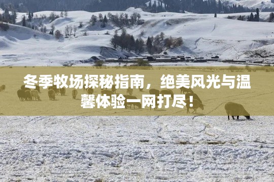 冬季牧场探秘指南,绝美风光与温馨体验一网打尽!