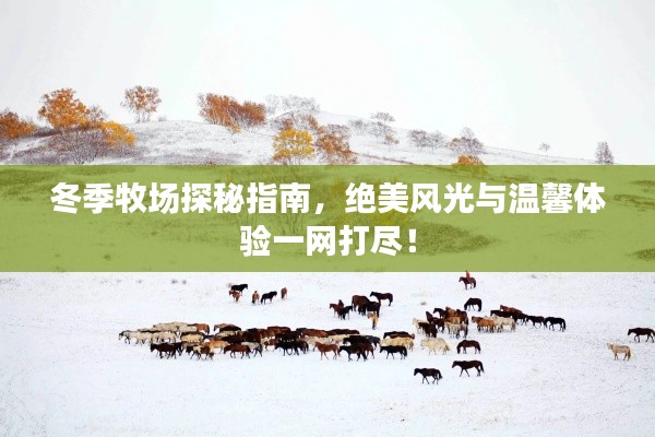 冬季牧场探秘指南,绝美风光与温馨体验一网打尽!