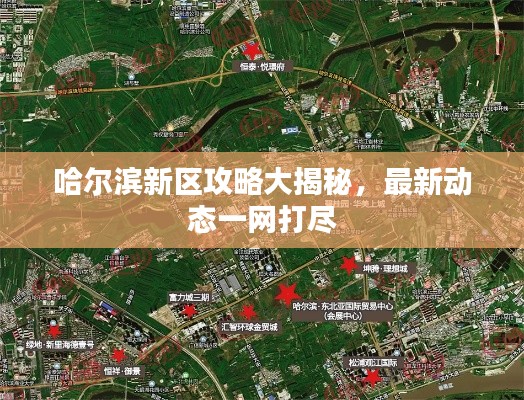 哈尔滨新区攻略大揭秘，最新动态一网打尽