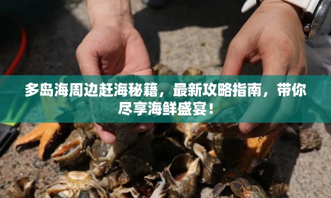 多岛海周边赶海秘籍,最新攻略指南,带你尽享海鲜盛宴!
