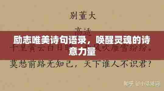 励志唯美诗句语录，唤醒灵魂的诗意力量