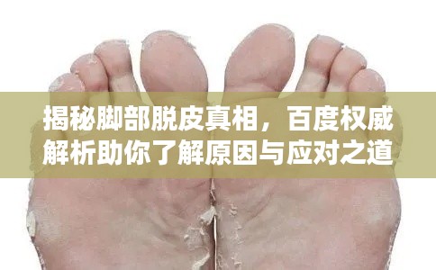 揭秘脚部脱皮真相,百度权威解析助你了解原因与应对之道