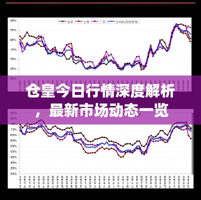 仓皇今日行情深度解析,最新市场动态一览
