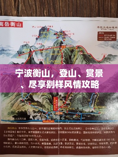 水浄鹅飞 第2页