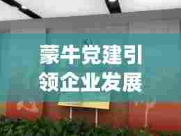 蒙牛党建引领企业发展新篇章，新闻头条聚焦党建创新之路