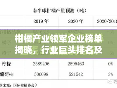 柑橘产业领军企业榜单揭晓，行业巨头排名及影响力解析