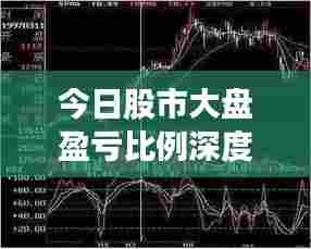 今日股市大盘盈亏比例深度解析