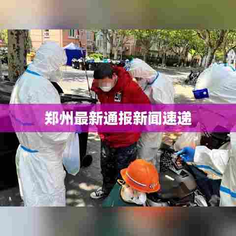 郑州最新通报新闻速递