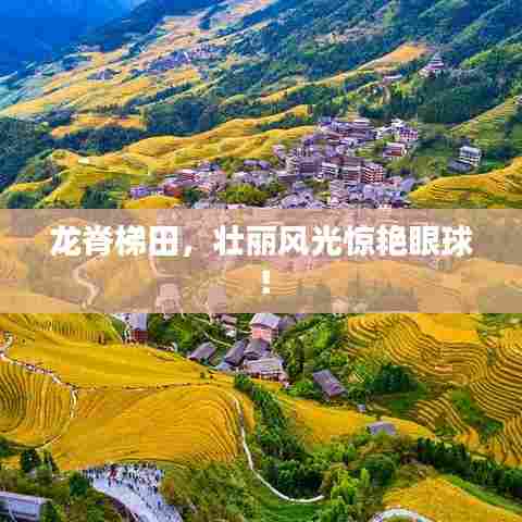 龙脊梯田，壮丽风光惊艳眼球！