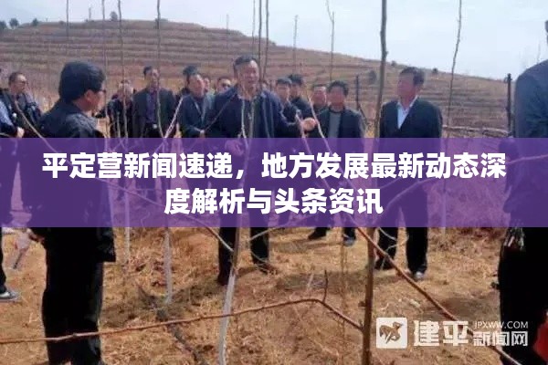 平定营新闻速递,地方发展最新动态深度解析与头条资讯