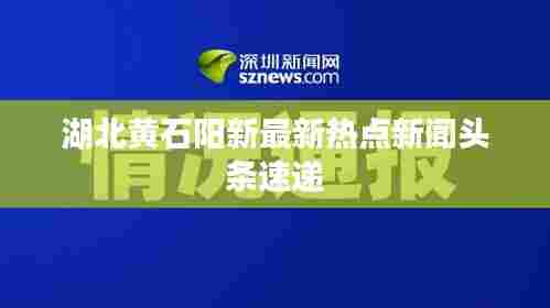 湖北黄石阳新最新热点新闻头条速递