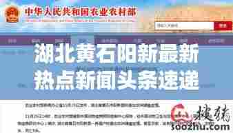 湖北黄石阳新最新热点新闻头条速递