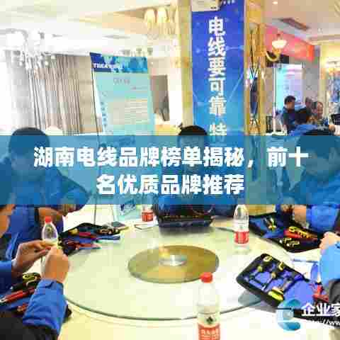 湖南电线品牌榜单揭秘,前十名优质品牌推荐
