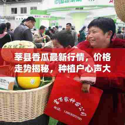 莘县香瓜最新行情,价格走势揭秘,种植户心声大揭秘!