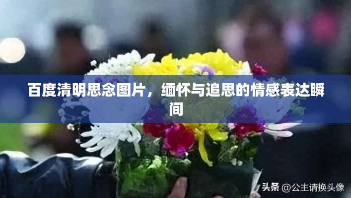 百度清明思念图片，缅怀与追思的情感表达瞬间
