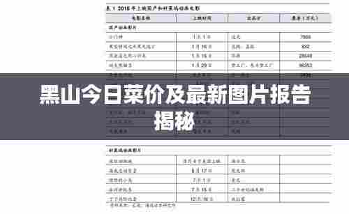 黑山今日菜价及最新图片报告揭秘