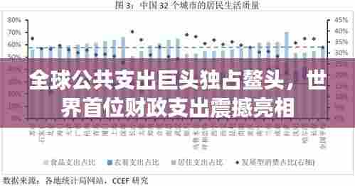 全球公共支出巨头独占鳌头,世界首位财政支出震撼亮相