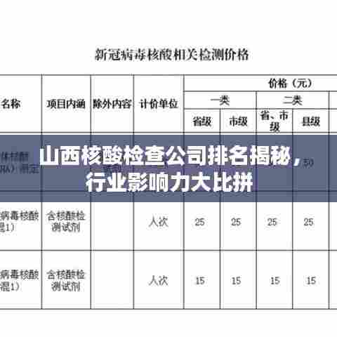 山西核酸检查公司排名揭秘,行业影响力大比拼