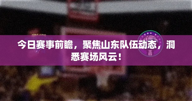 今日赛事前瞻,聚焦山东队伍动态,洞悉赛场风云!