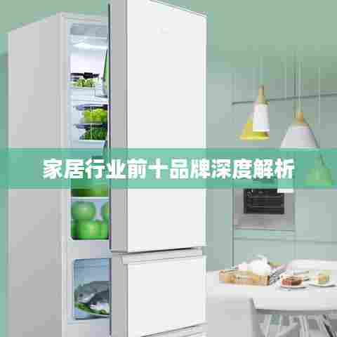 家居行业前十品牌深度解析