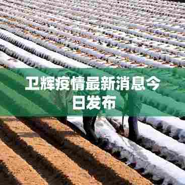 卫辉疫情最新消息今日发布