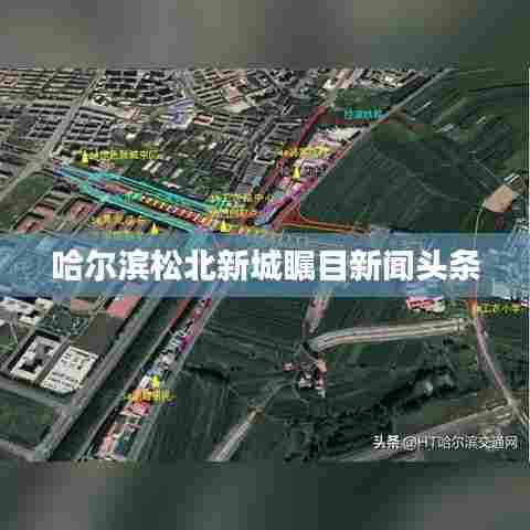 哈尔滨松北新城瞩目新闻头条