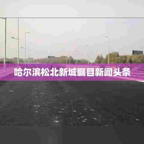 哈尔滨松北新城瞩目新闻头条