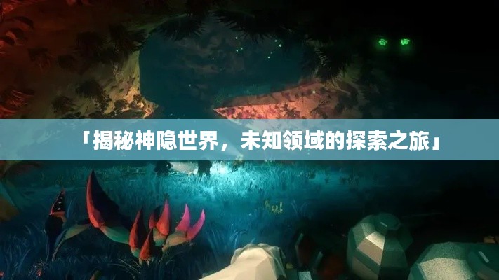 「揭秘神隐世界,未知领域的探索之旅」